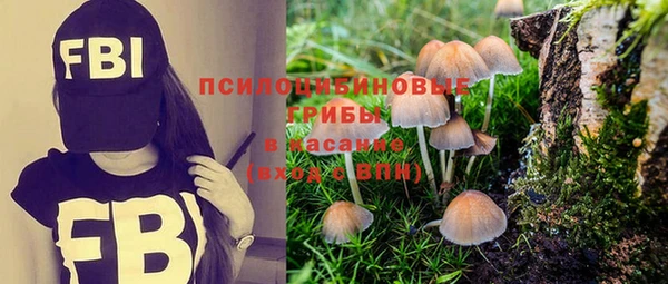 кристаллы Ладушкин