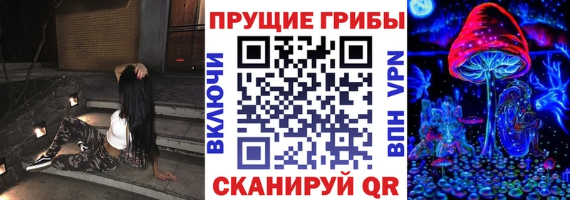 Галлюциногенные грибы Cubensis Чегем